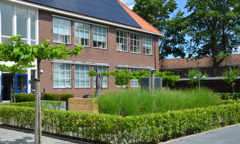SP Drachten tuin1.JPG